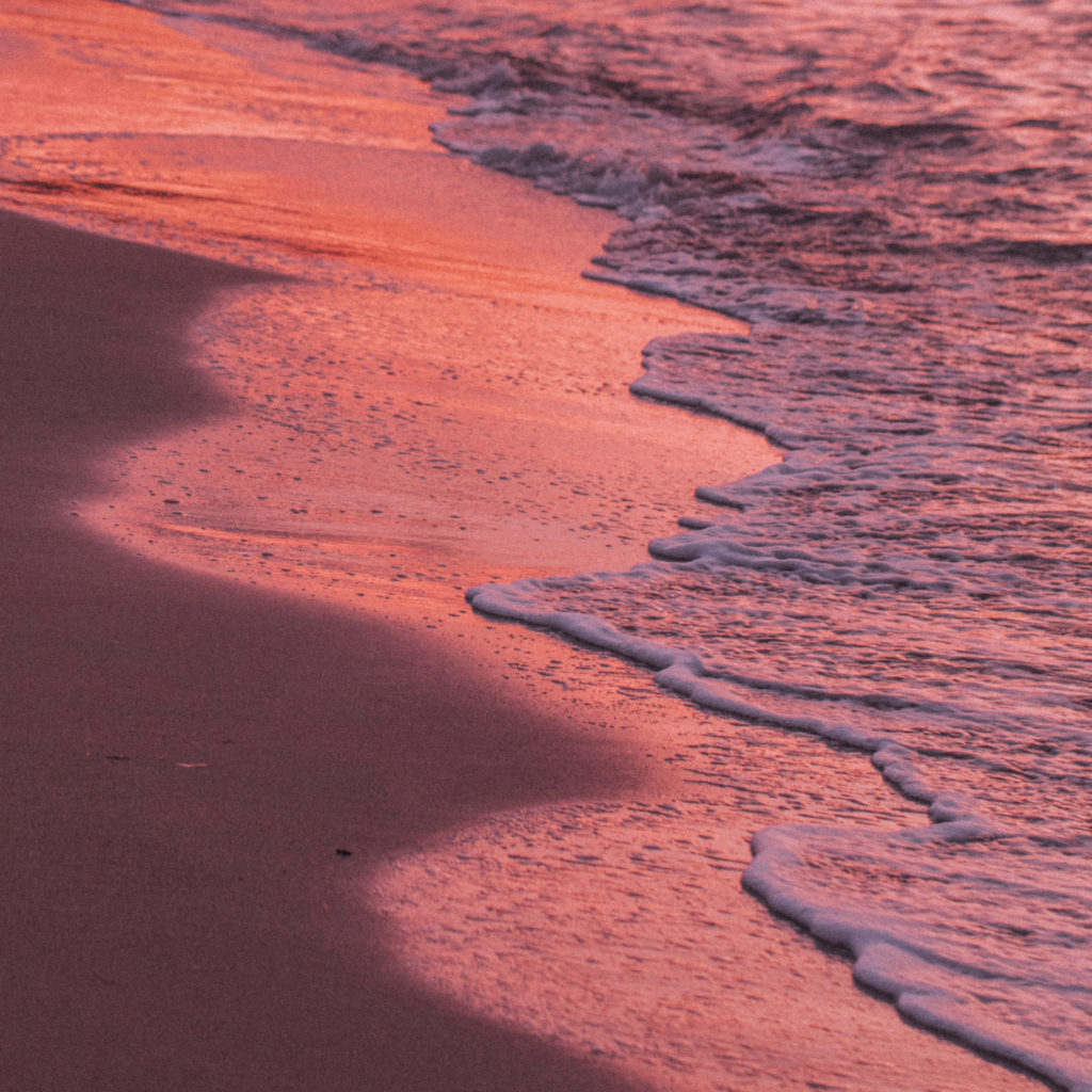 Orly Levy Blog sandy shoreline at sunset